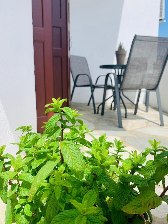 Skopelos Inn Стафилос Экстерьер фото